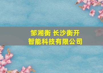 邹湘衡 长沙衡开智能科技有限公司